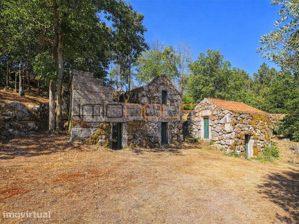Quinta de 2ha com vista panorâmica - Freigil - Grande imagem: 4/24