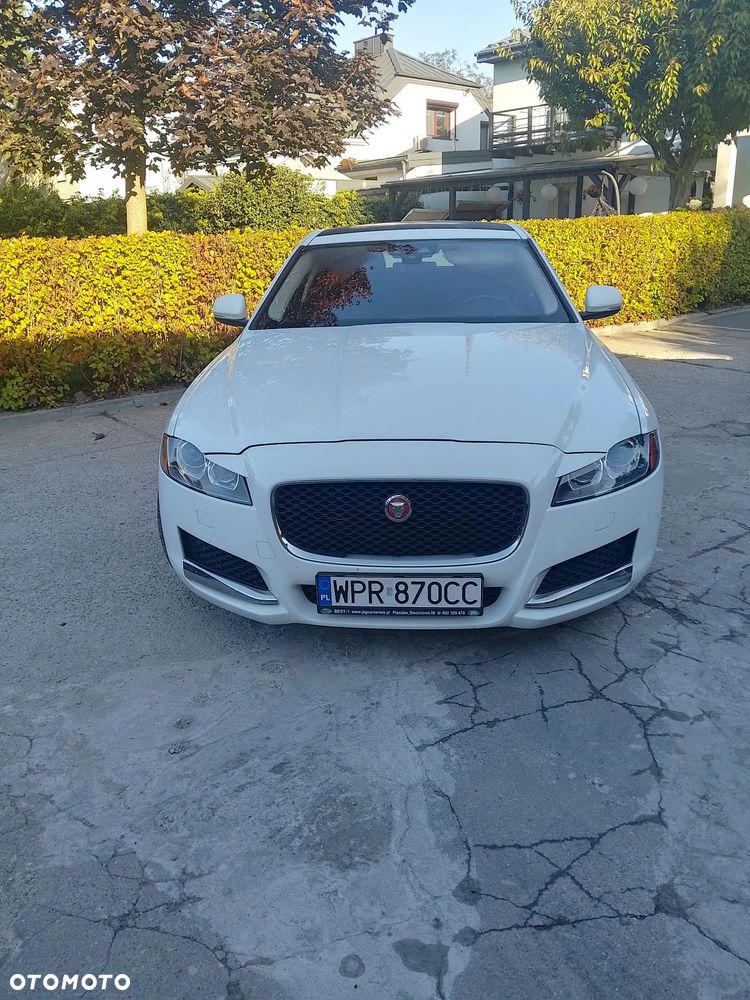 Jaguar Xf