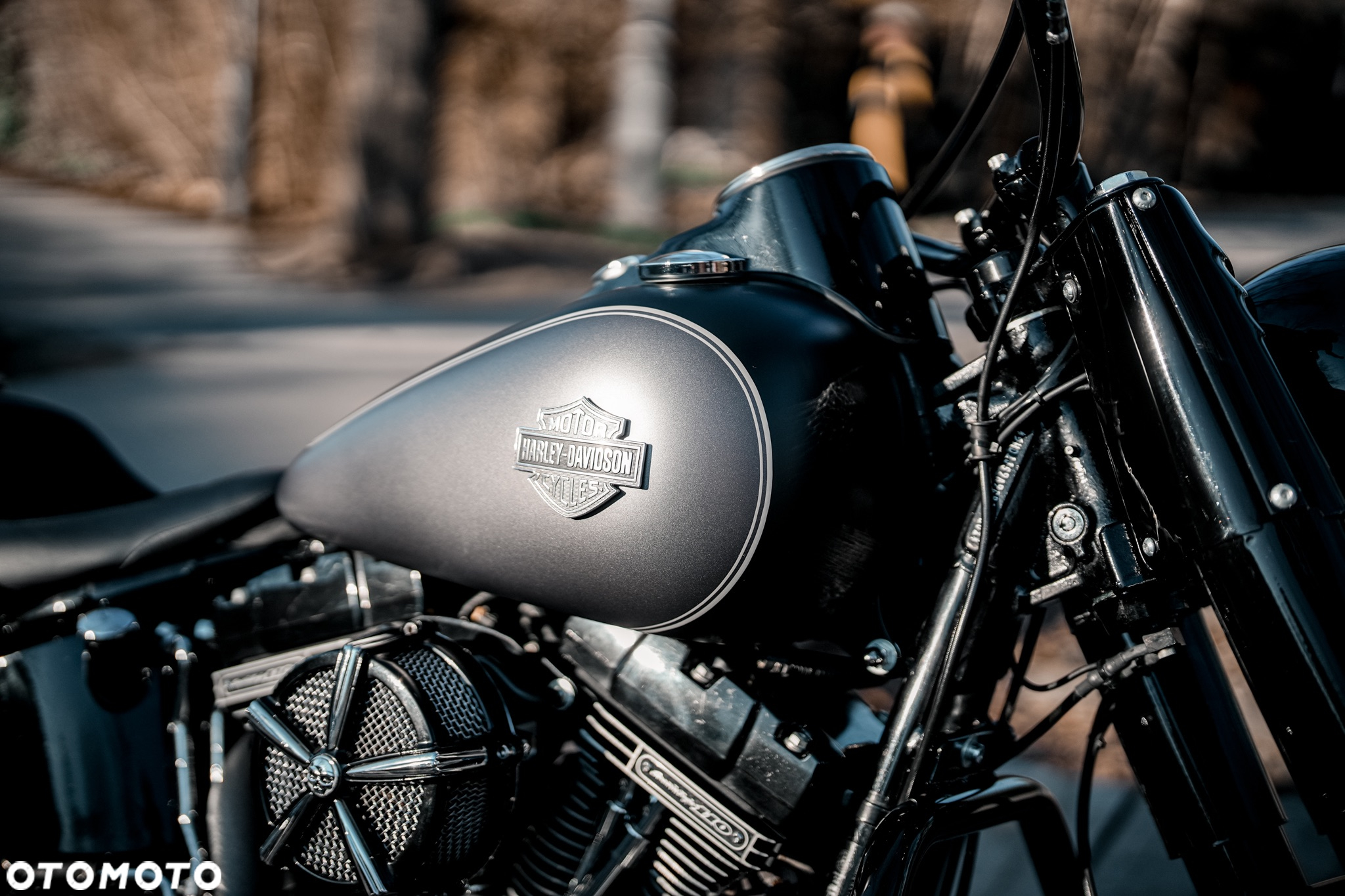 Harley-Davidson Softail Slim - 32
