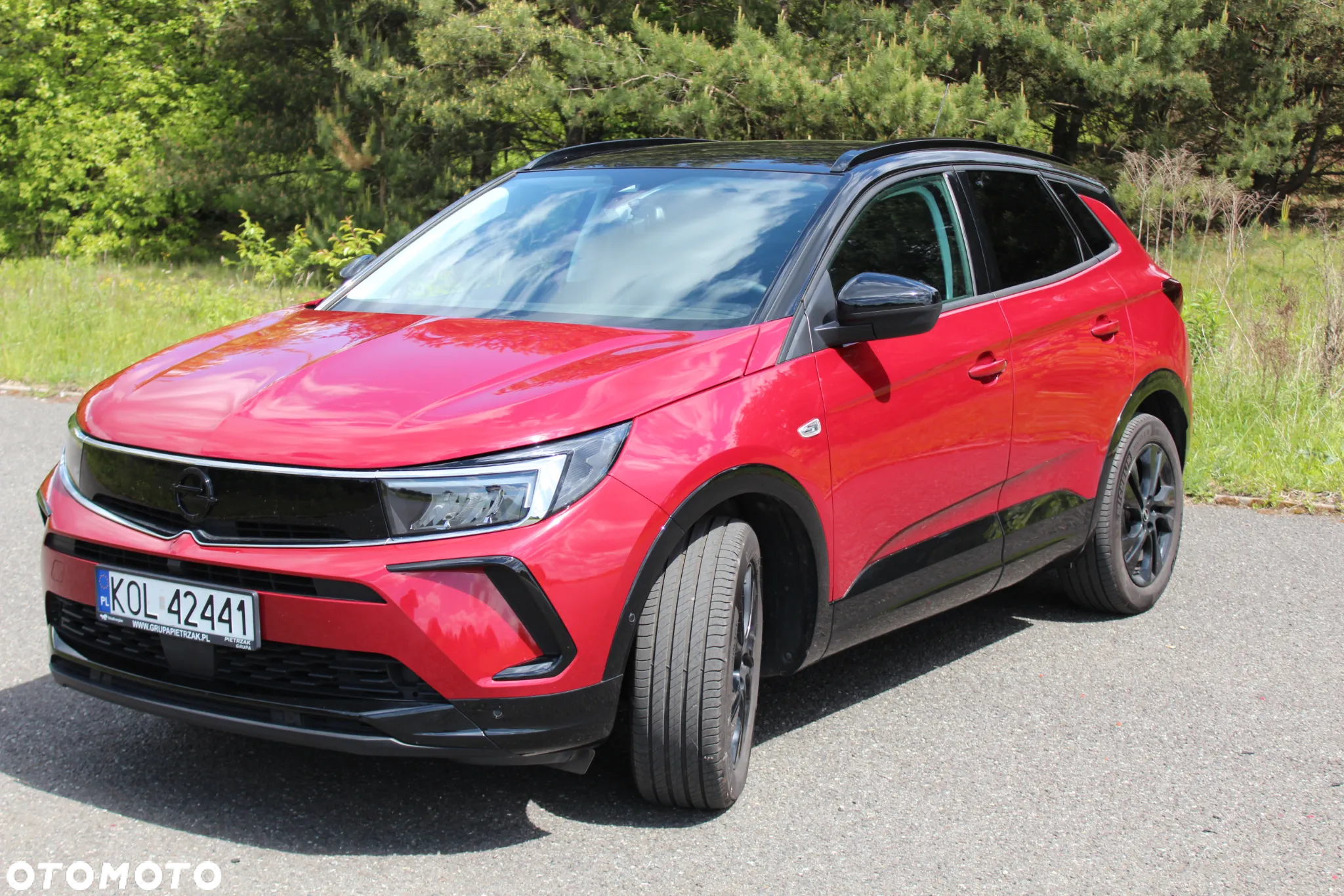 Opel Grandland 1.2 T GS S&S - 13
