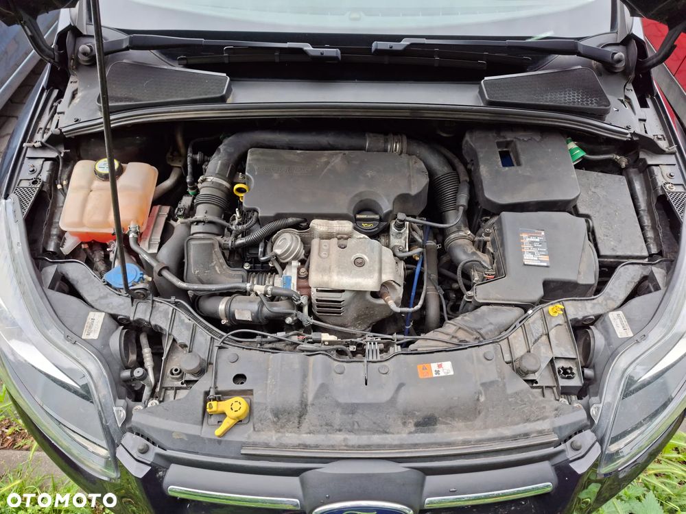 Ford Focus - 22