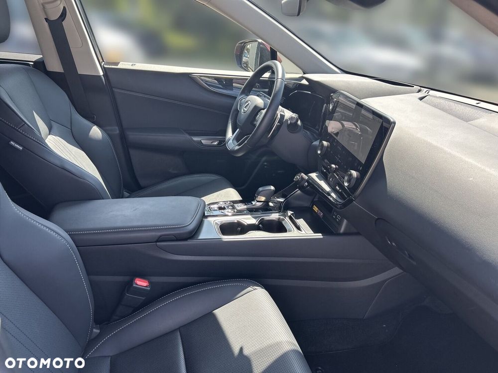 Lexus NX - 10