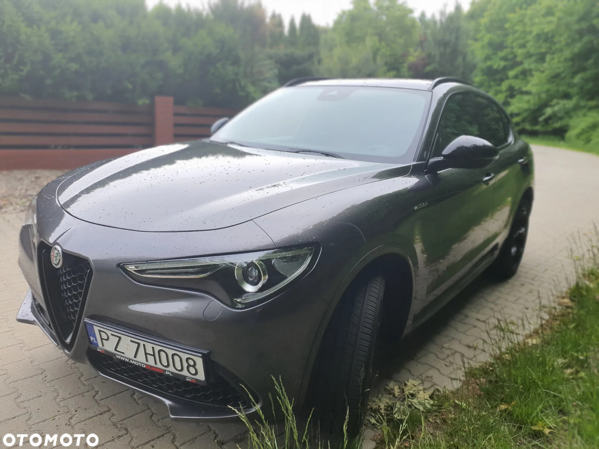 Alfa Romeo Stelvio 2.0 Turbo 16V AT8-Q4 Veloce - 28