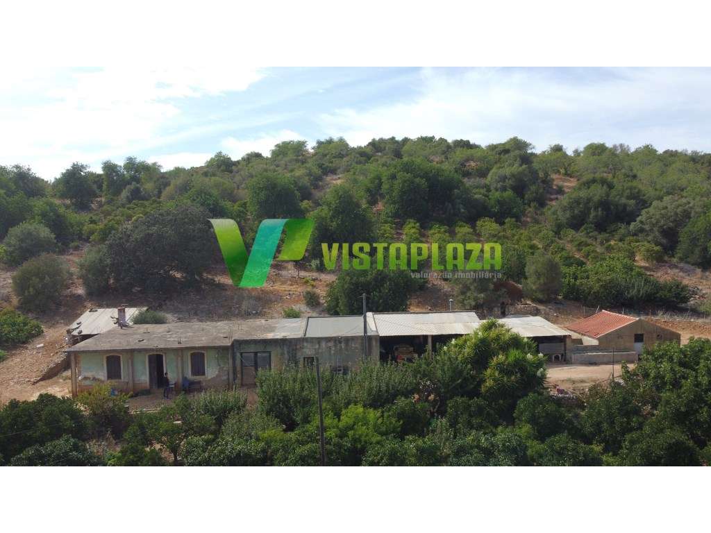 Terreno Misto com Ruínas Legalizadas em Mexilhoeira Grande - Grande imagem: 5/24