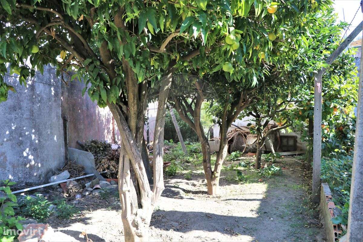 Moradia T3 para venda - Grande imagem: 3/29