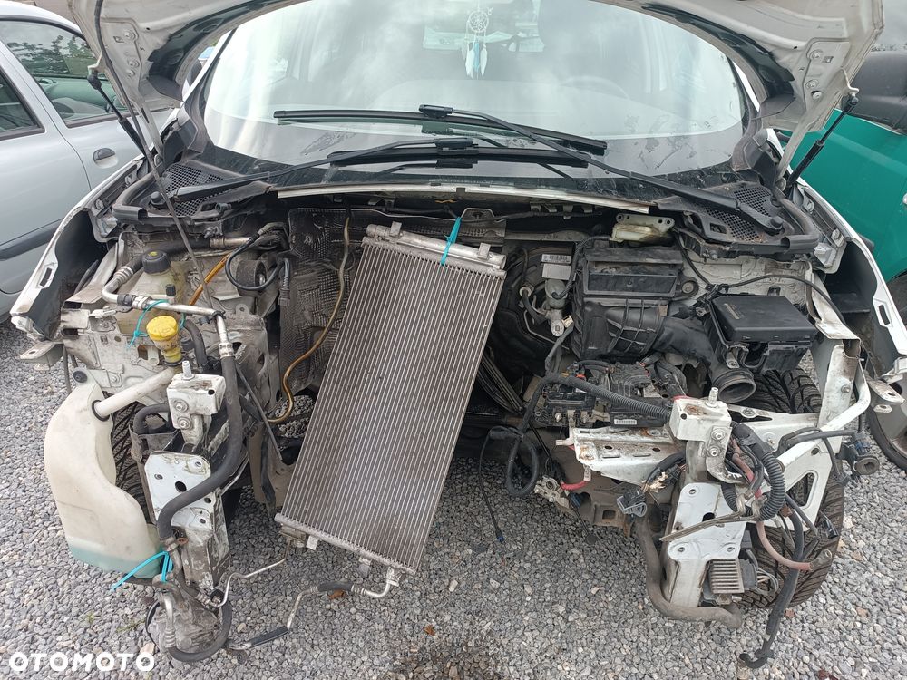 Renault Scenic - 6
