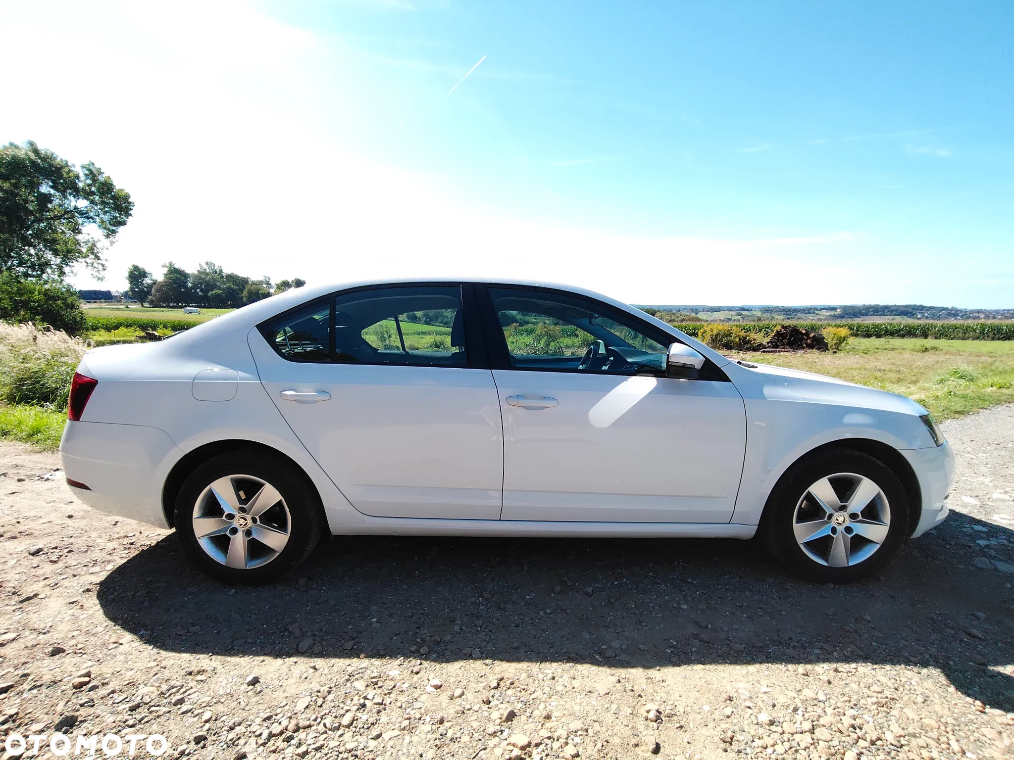 Skoda Octavia 1.5 TSI ACT Ambition - 4