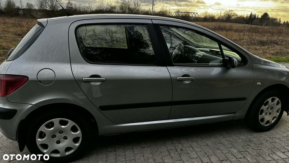 Peugeot 307 1.4 Mistral - 4