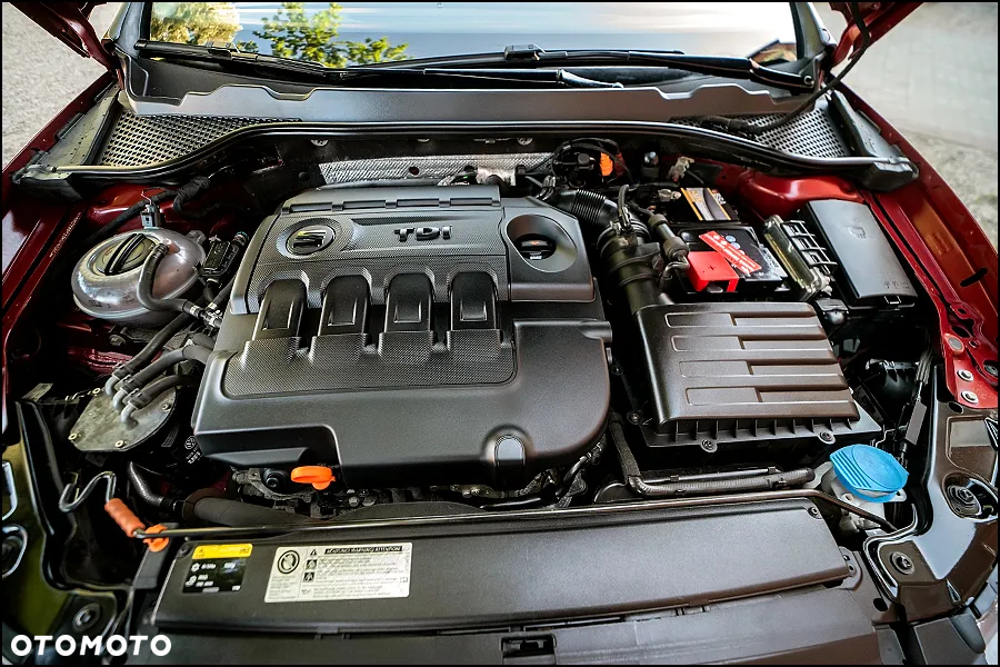 Seat Leon - 36