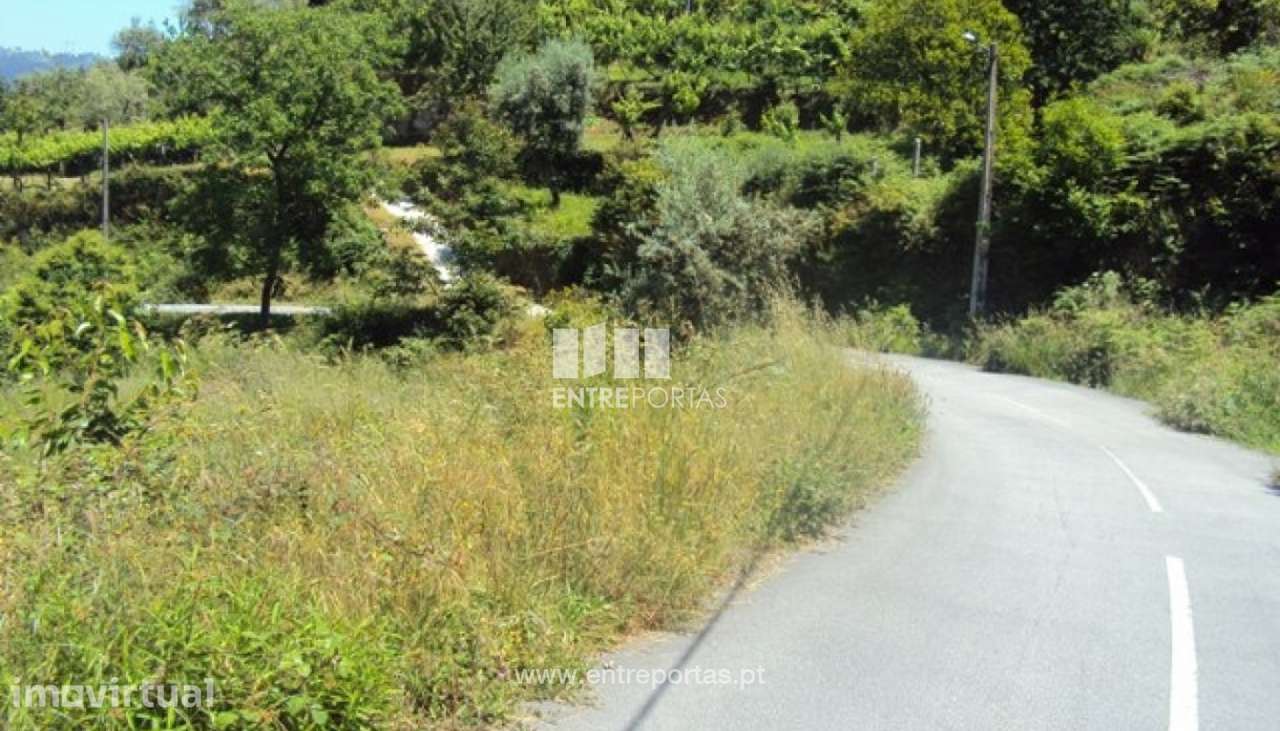 Venda Terreno,Tarouquela, Cinfães - Grande imagem: 3/30