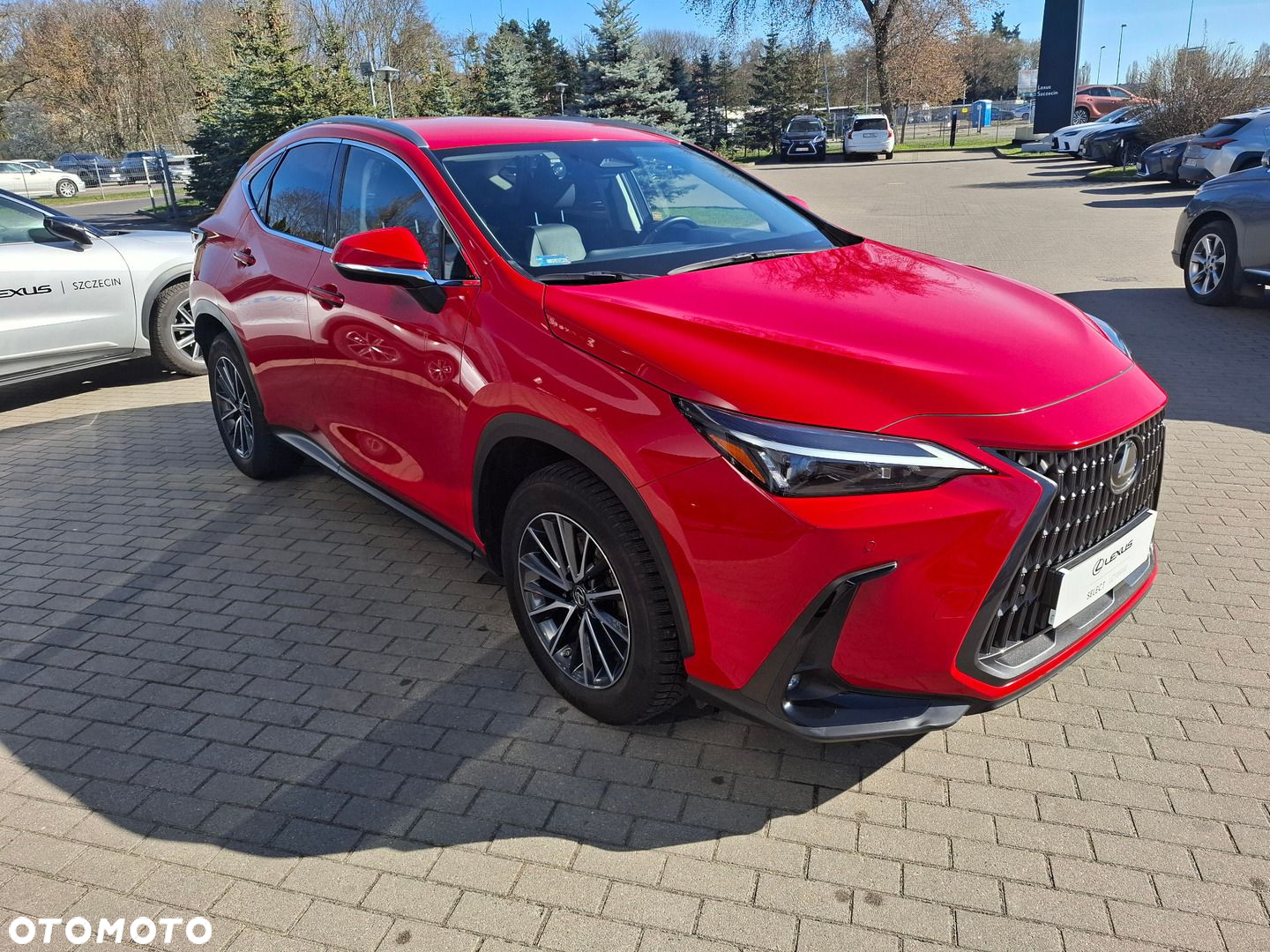 Lexus NX - 4
