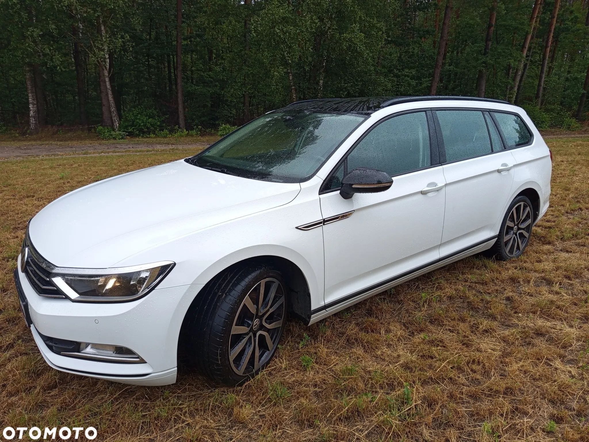 Volkswagen Passat - 1