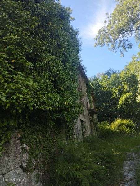 Casa de pedra em ruínas com terreno - Grande imagem: 2/12