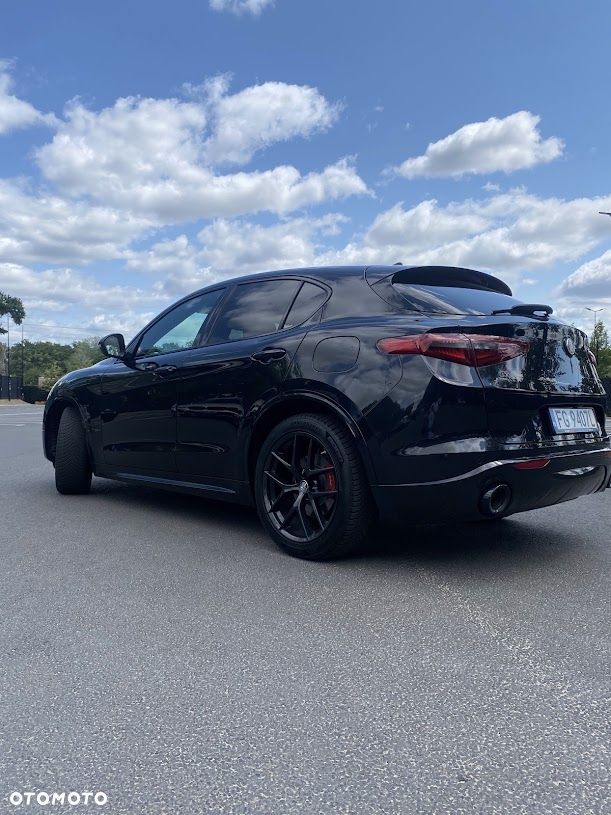 Alfa Romeo Stelvio 2.0 Turbo Veloce Q4 - 19
