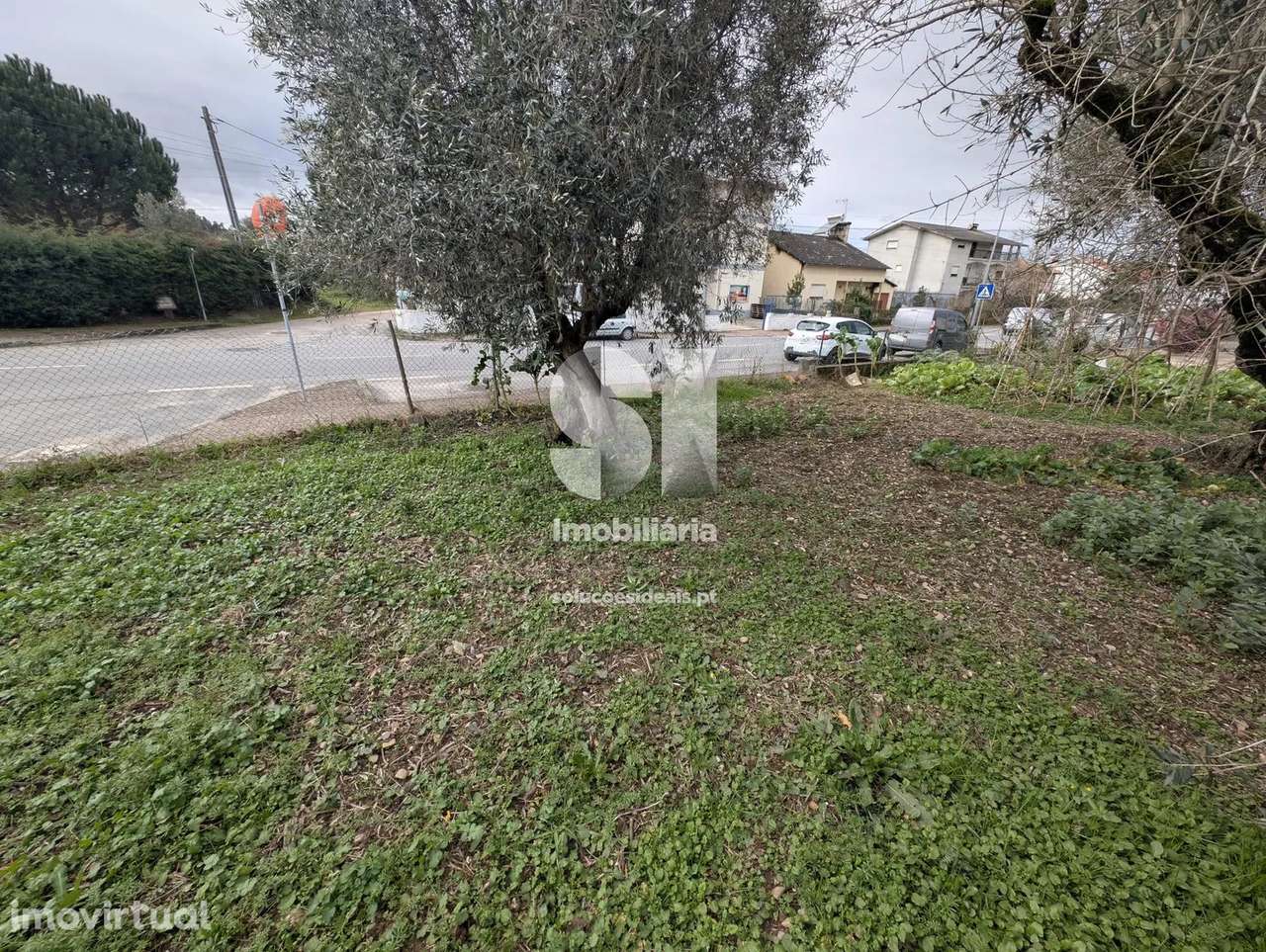 Terreno em Arganil - Grande imagem: 3/12