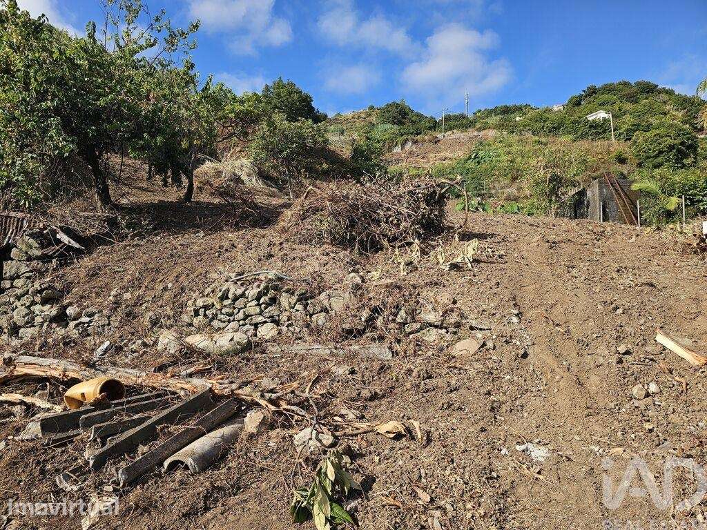 Terreno Agrícola em Porto da Cruz - Grande imagem: 2/7
