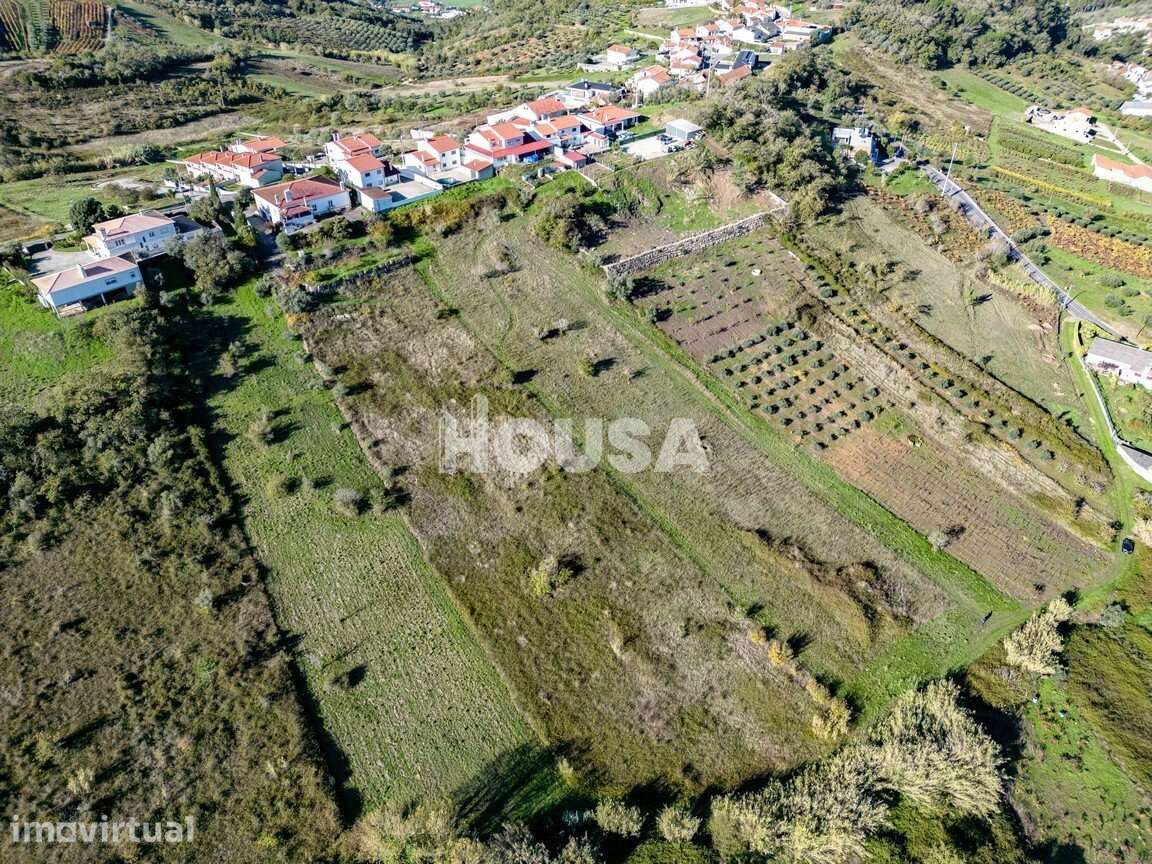 Terreno Rústico com 7.670m² nos Golfeiros – Batalha - Grande imagem: 2/9
