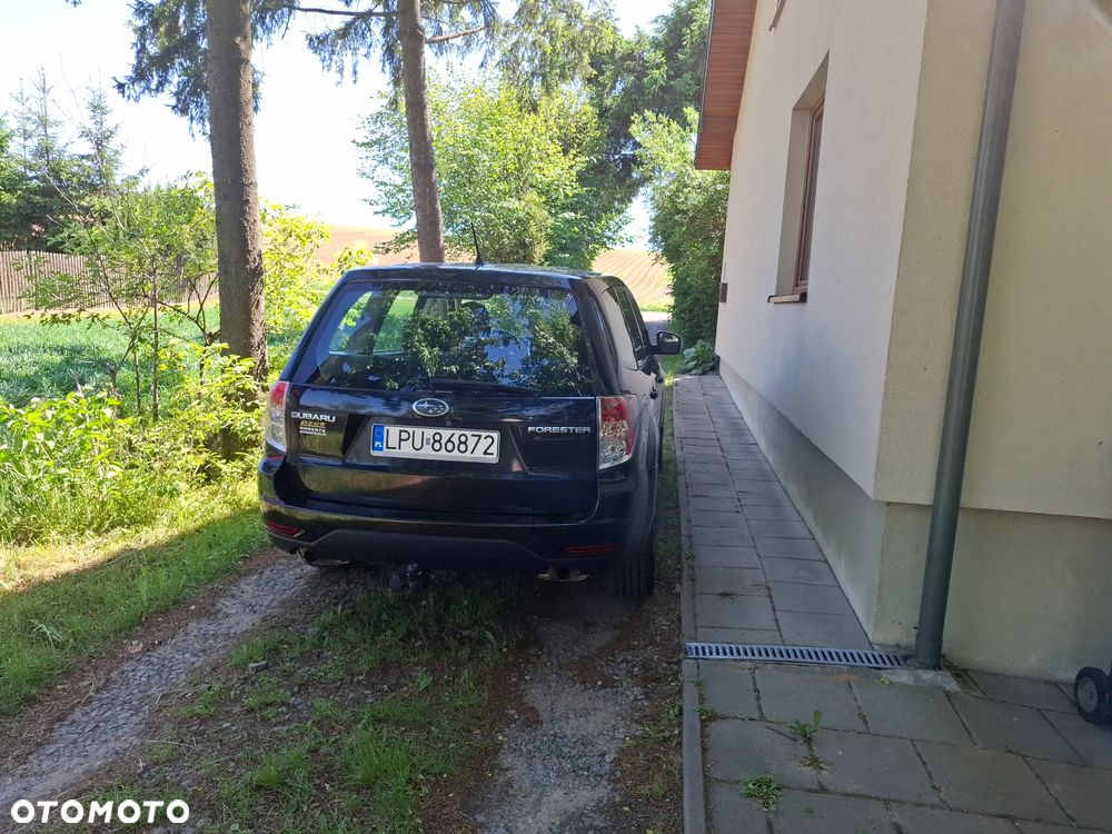 Subaru Forester - 4