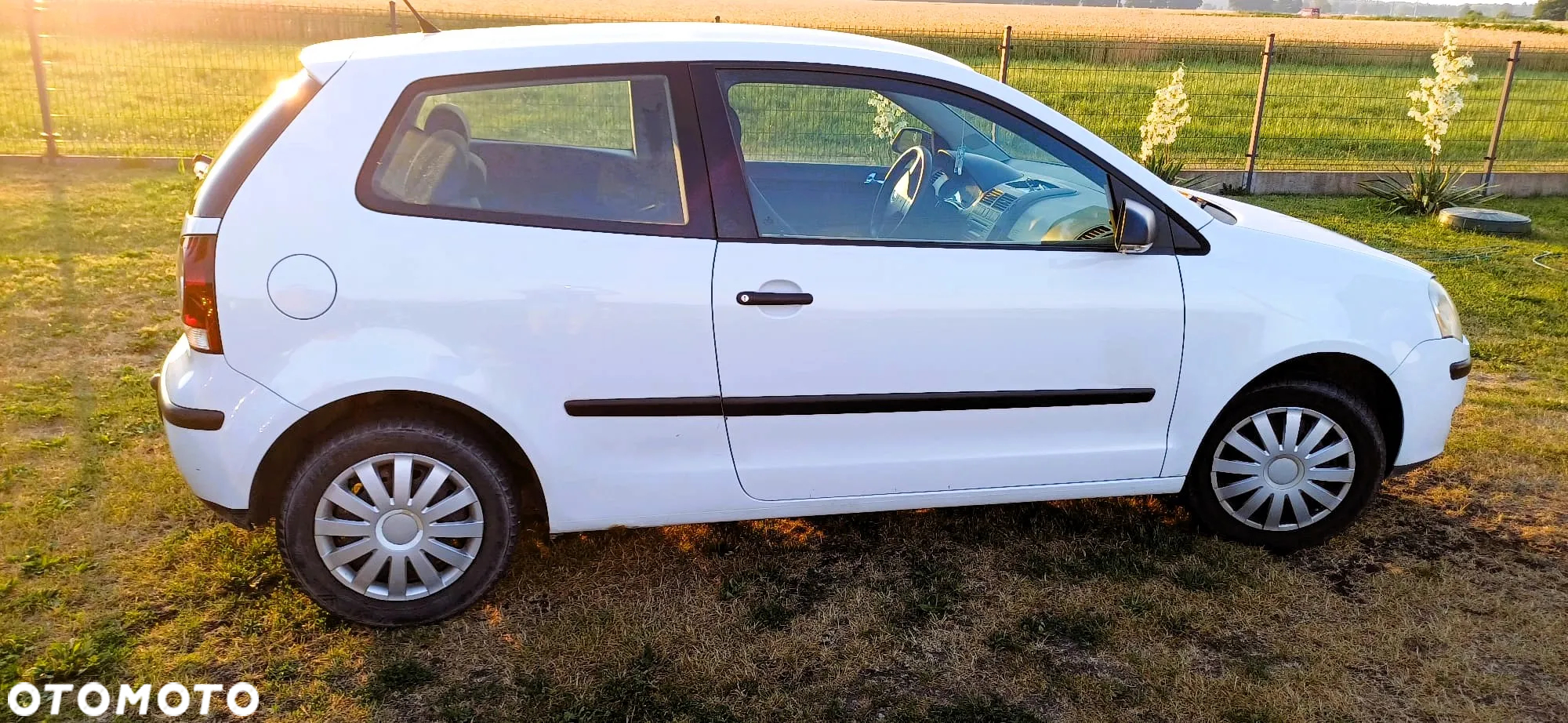 Volkswagen Polo - 4
