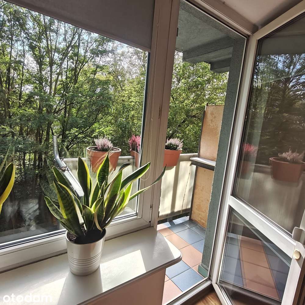 Mieszkanie 2-pokojowe 50,8 m² – Kraków, ul. ks. Meiera, Bezpośrednio