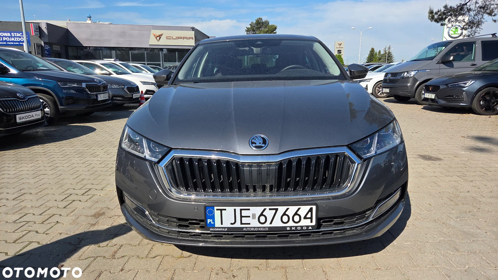 Skoda Octavia - 7