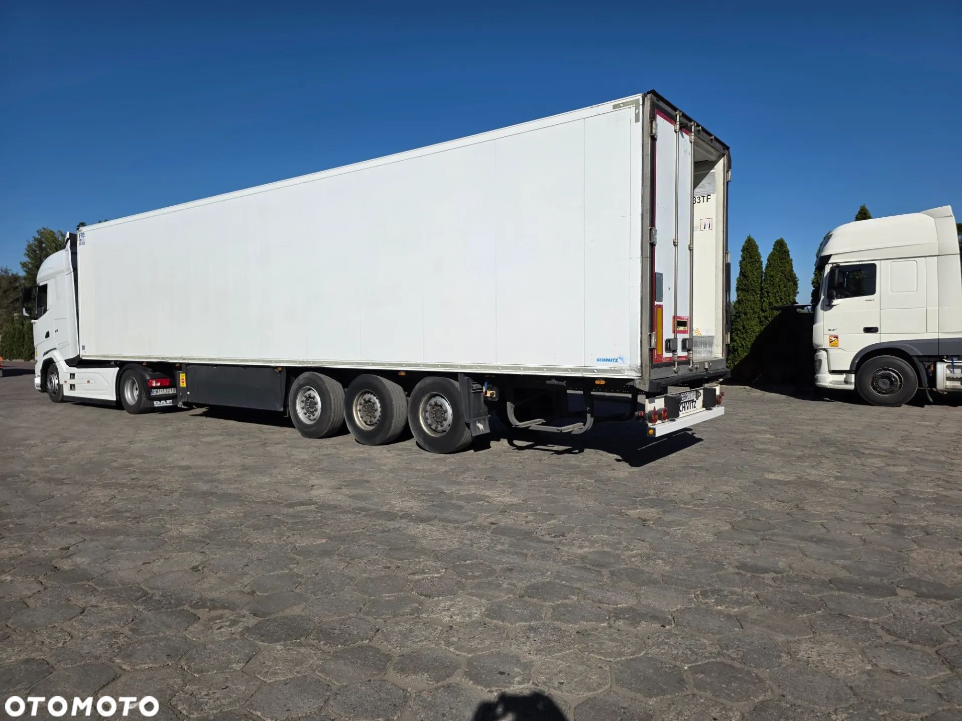 Schmitz Cargobull SKO 24 THERMO KING SLX300 - 1