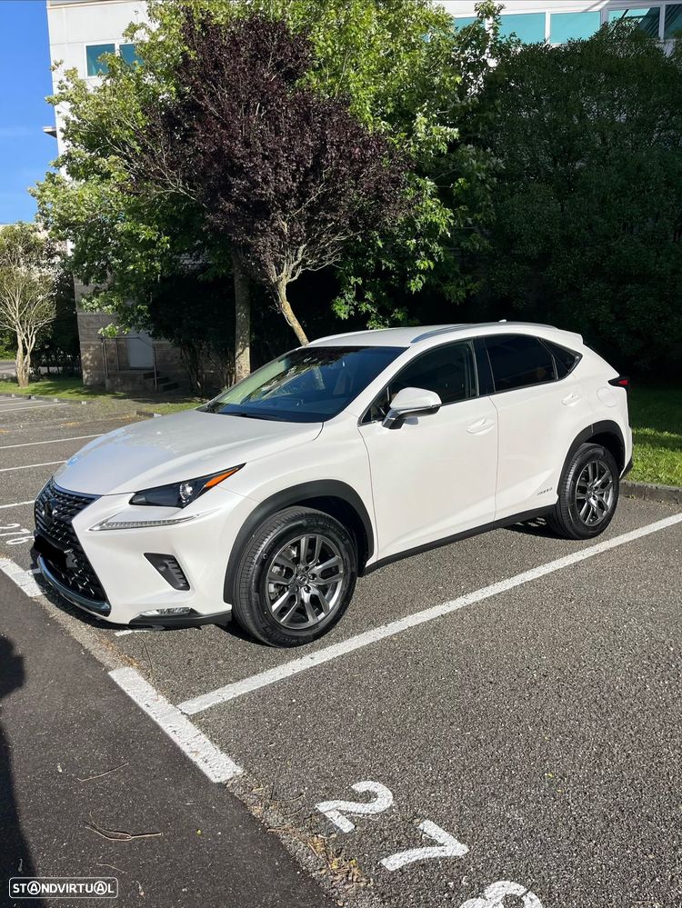 Lexus NX 300h Executive Plus - 3