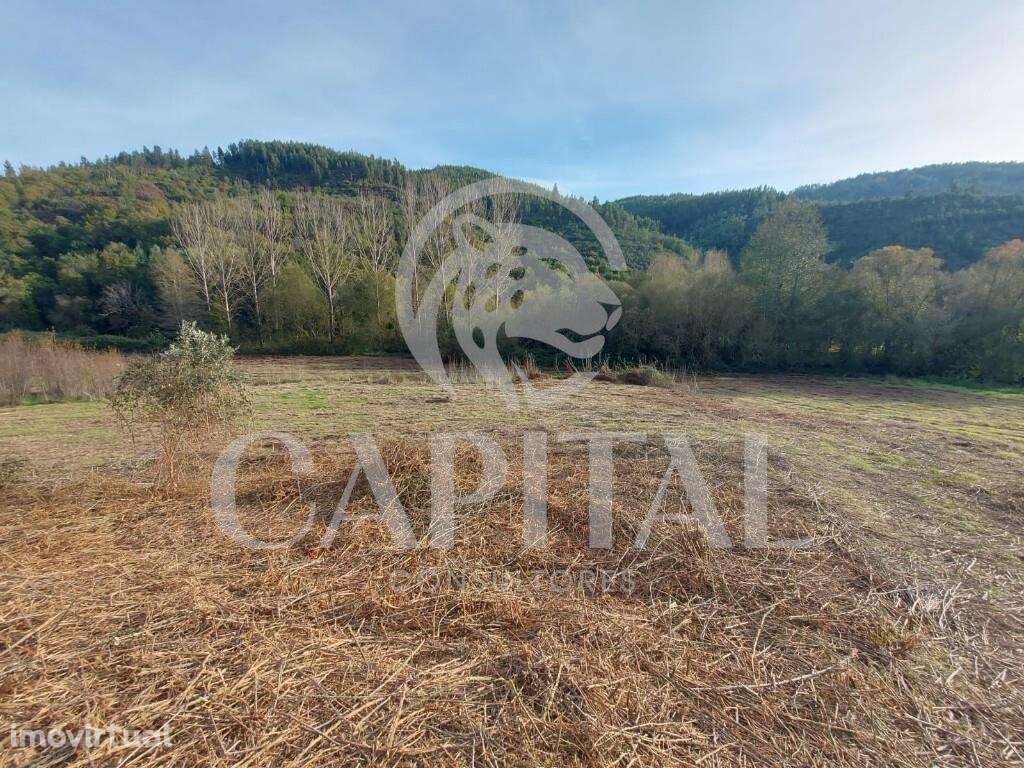 Venda Terreno - Grande imagem: 4/9