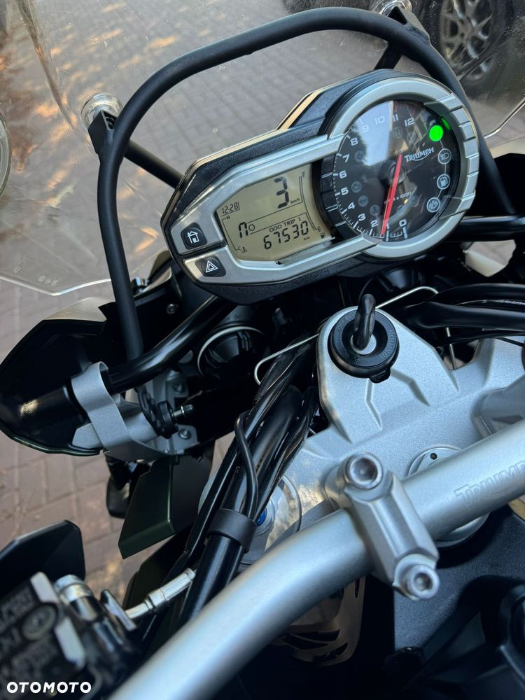 Triumph Tiger - 24