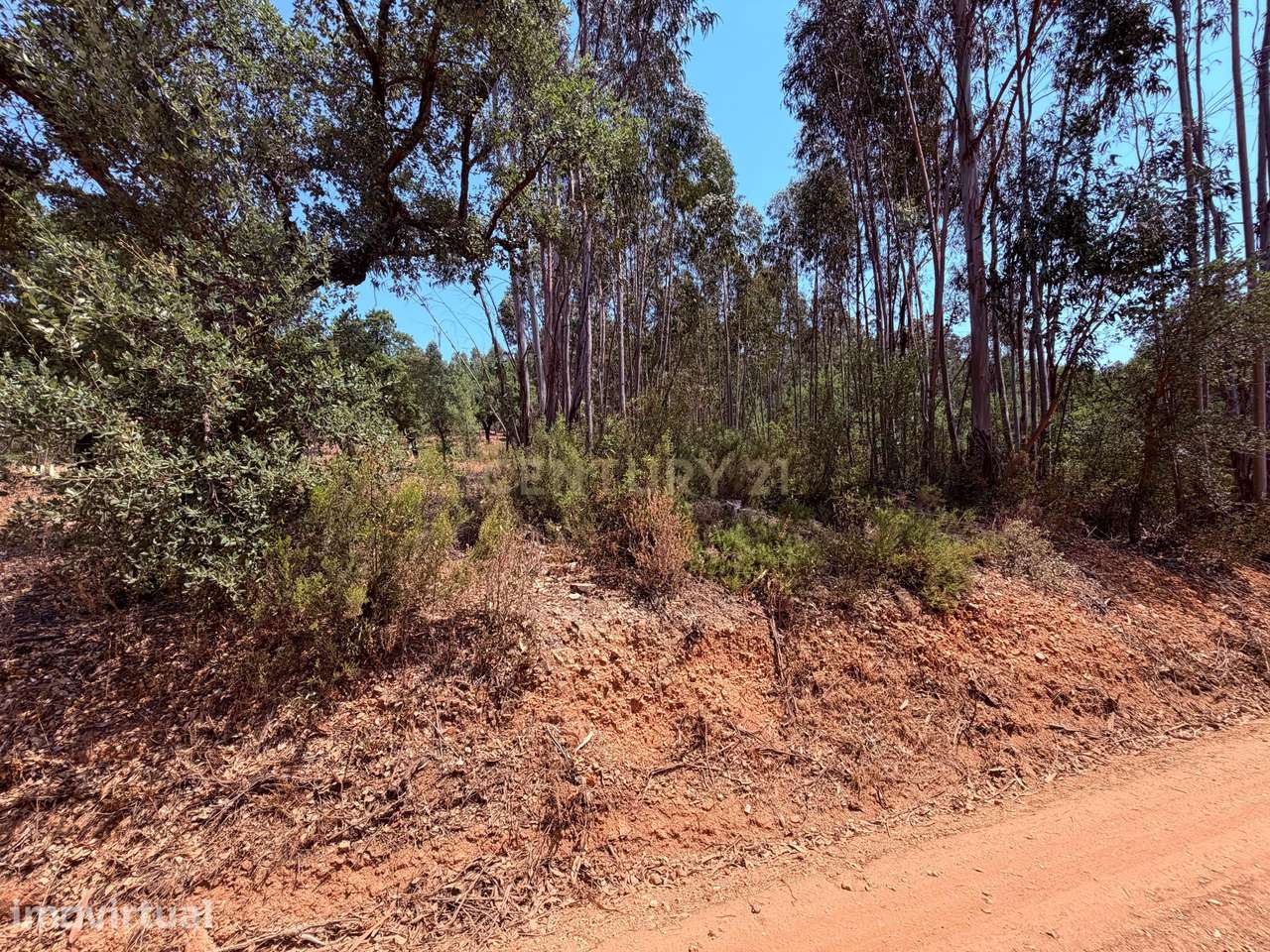 Terreno Rústico – Milhariças, Mouriscas, Abrantes | 3.520 m² - Grande imagem: 3/5