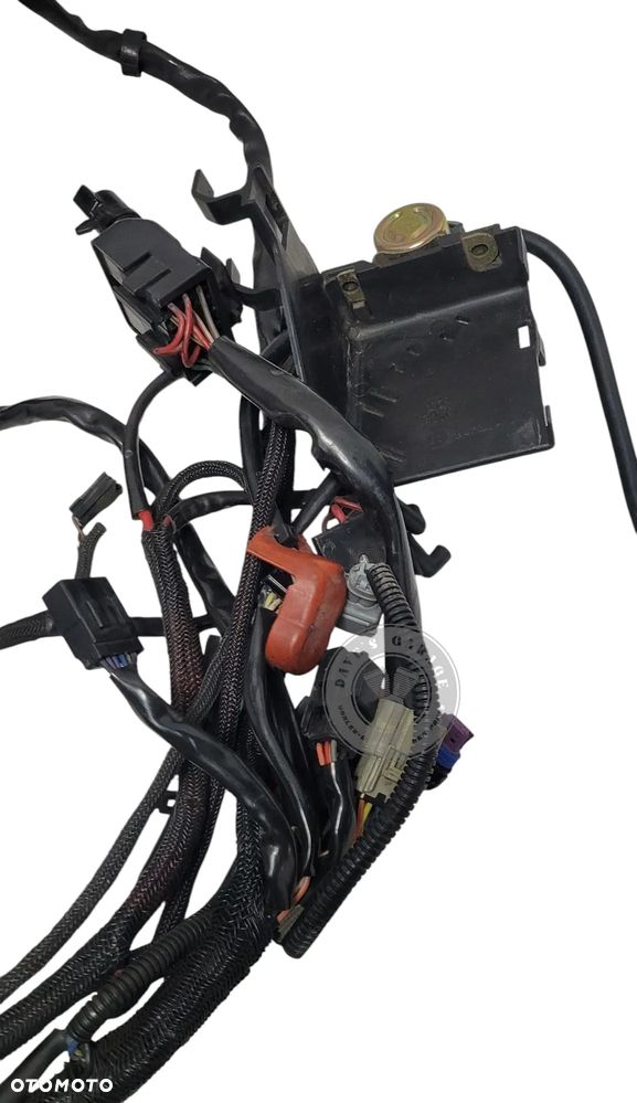 Wiązka elektryczna Harley Davidson V Rod 70125-07 - 5