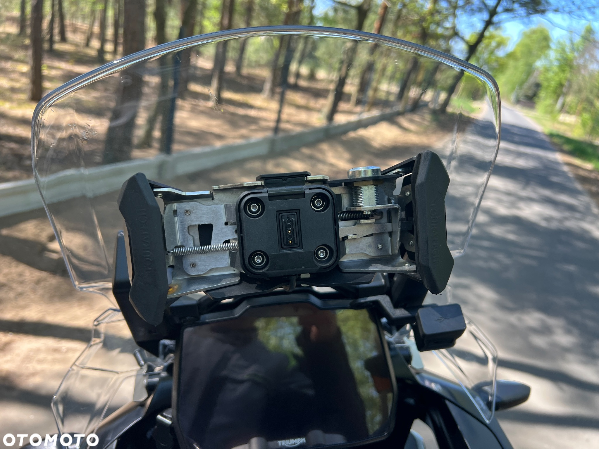 Triumph Tiger - 25