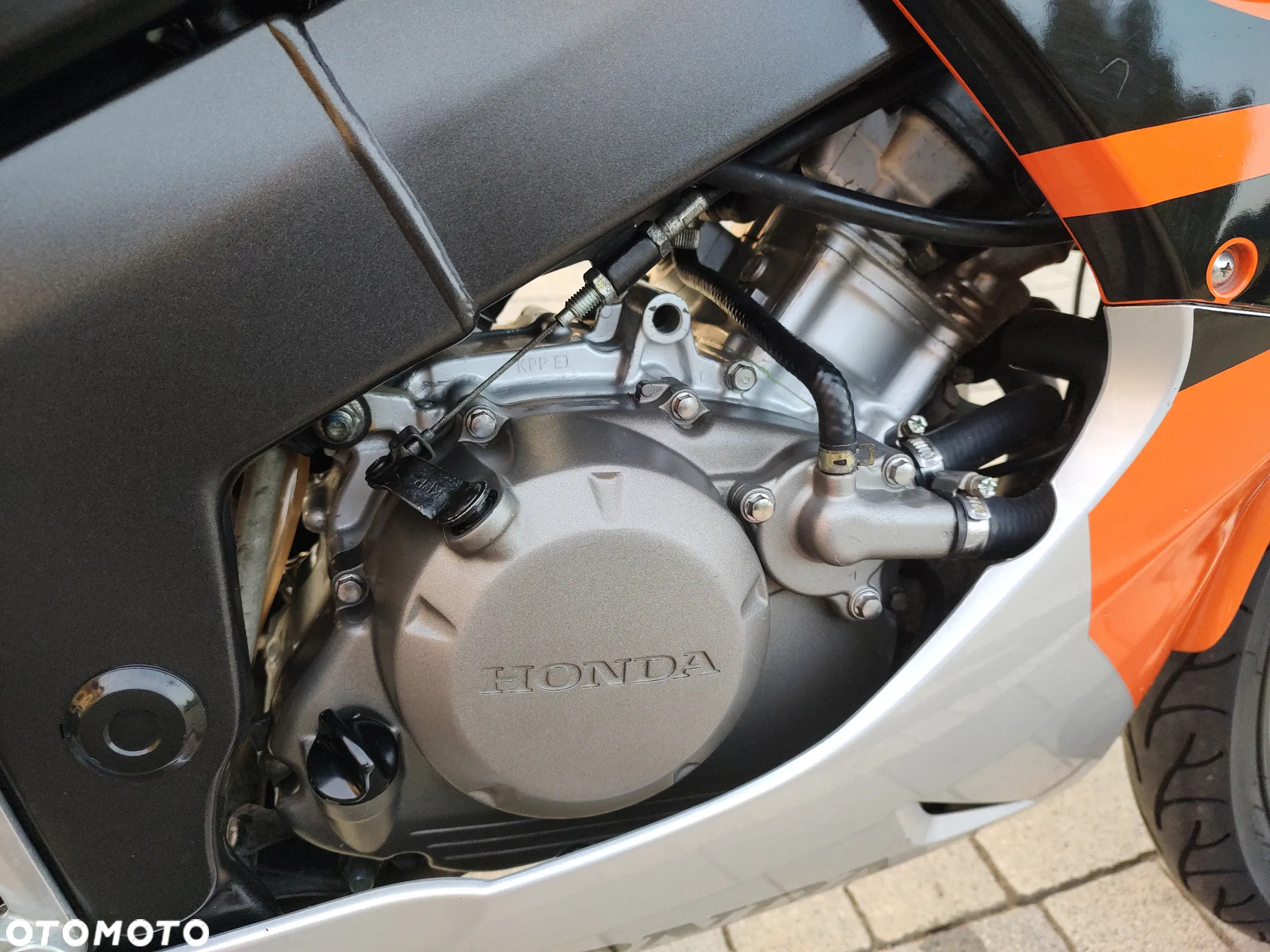 Honda CBR - 13