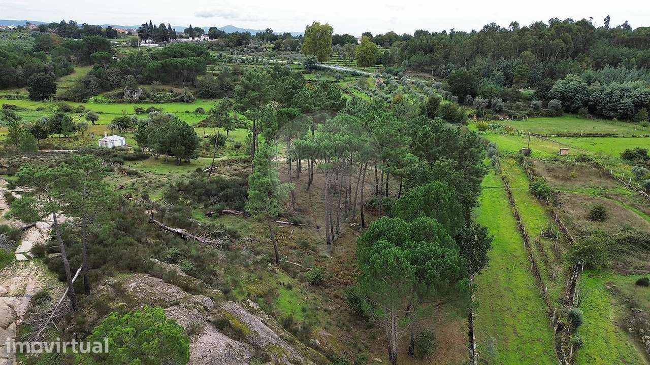 Terreno  para venda - Grande imagem: 5/6
