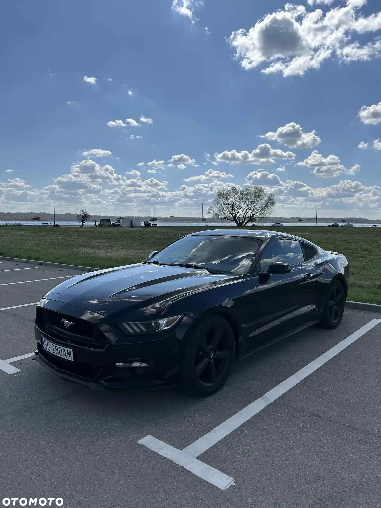 Ford Mustang 3.7 V6 - 13