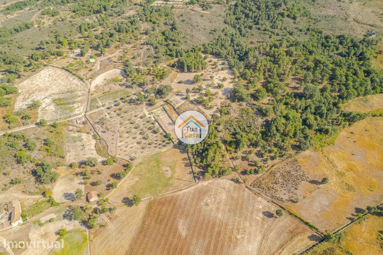 Terreno Rústico com 5 Hectares, em Sernancelhe - Grande imagem: 5/19