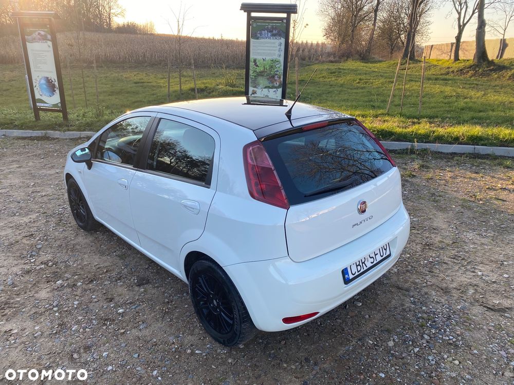 Fiat Punto - 8