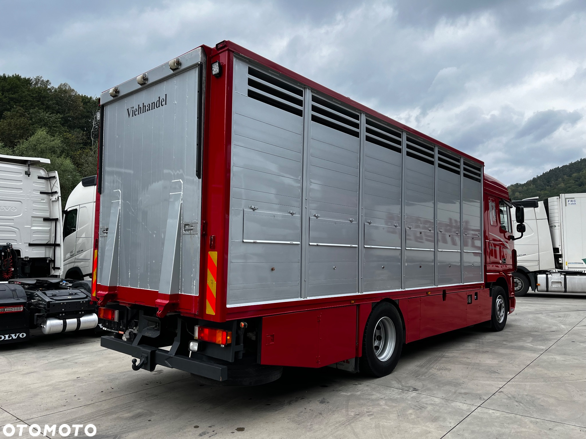 DAF XF 105.460 Euro 5 // Manual // Retarder // Do Żywca / Bydła / Zwierząt / - 9