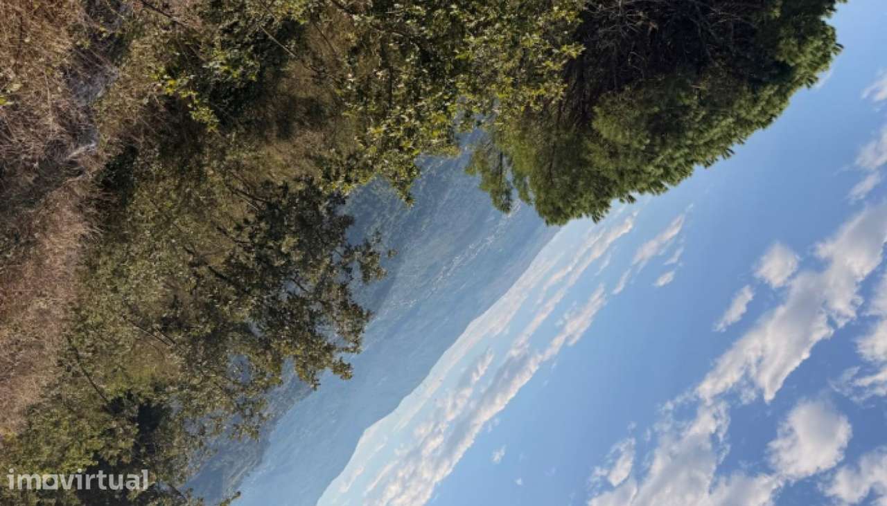 Venda Terreno, Mesquinhata, Baião - Grande imagem: 2/28