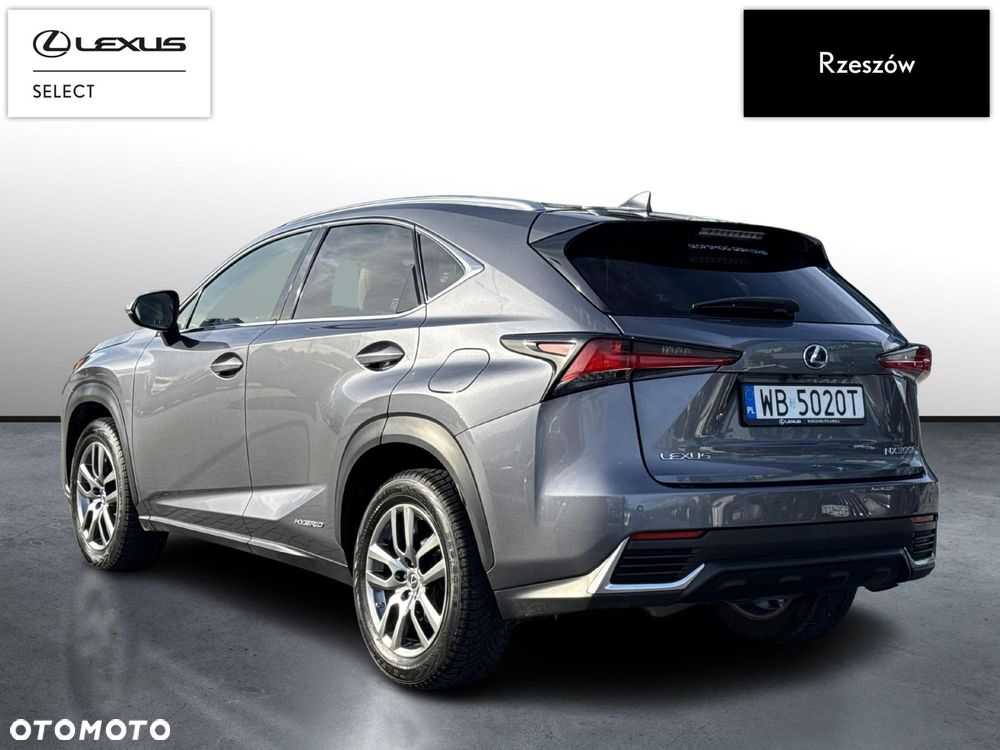 Lexus NX - 3