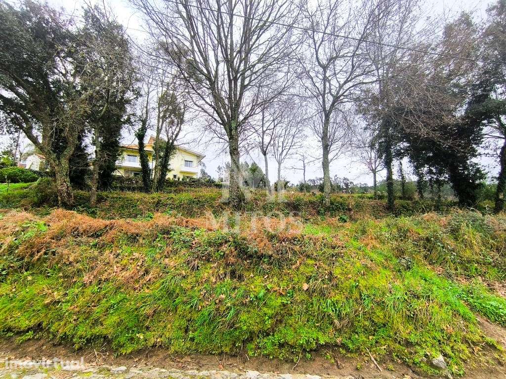 Terreno Urbano no centro de Tregosa - Grande imagem: 3/12