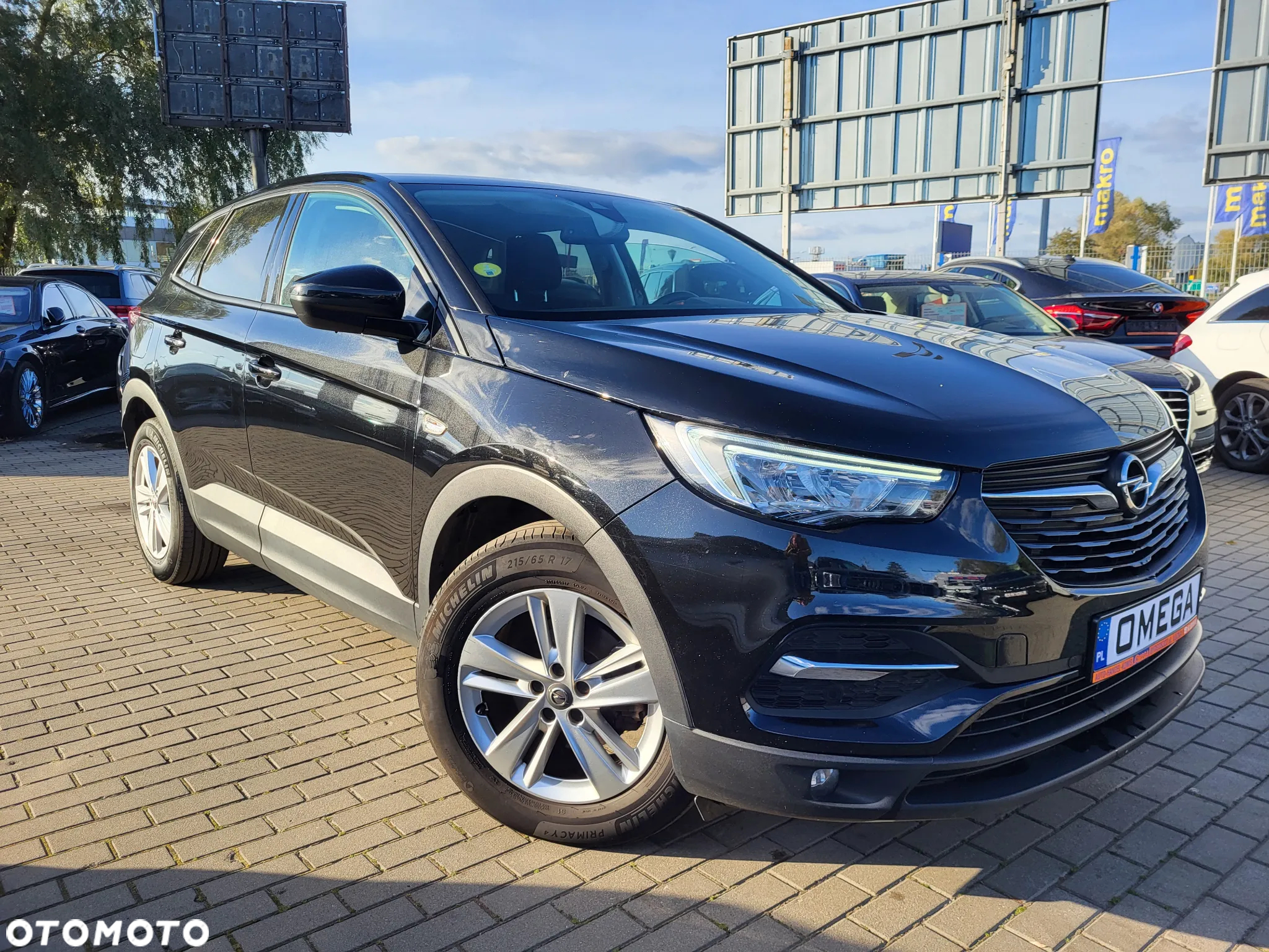 Opel Grandland X 1.5 CDTI Edition Business Pack S&S - 3