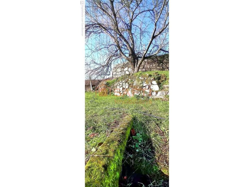 Casa antiga - Grande imagem: 5/7