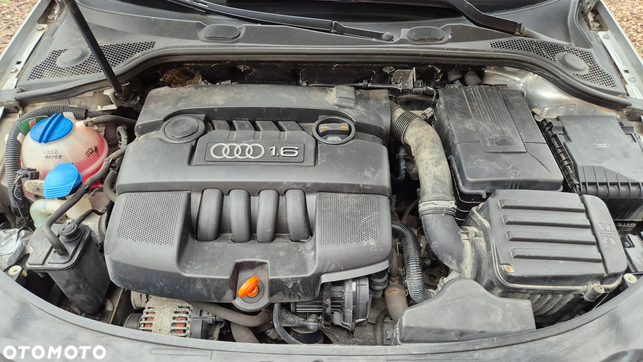 Audi A3 Sportback 1.6 Attraction - 14