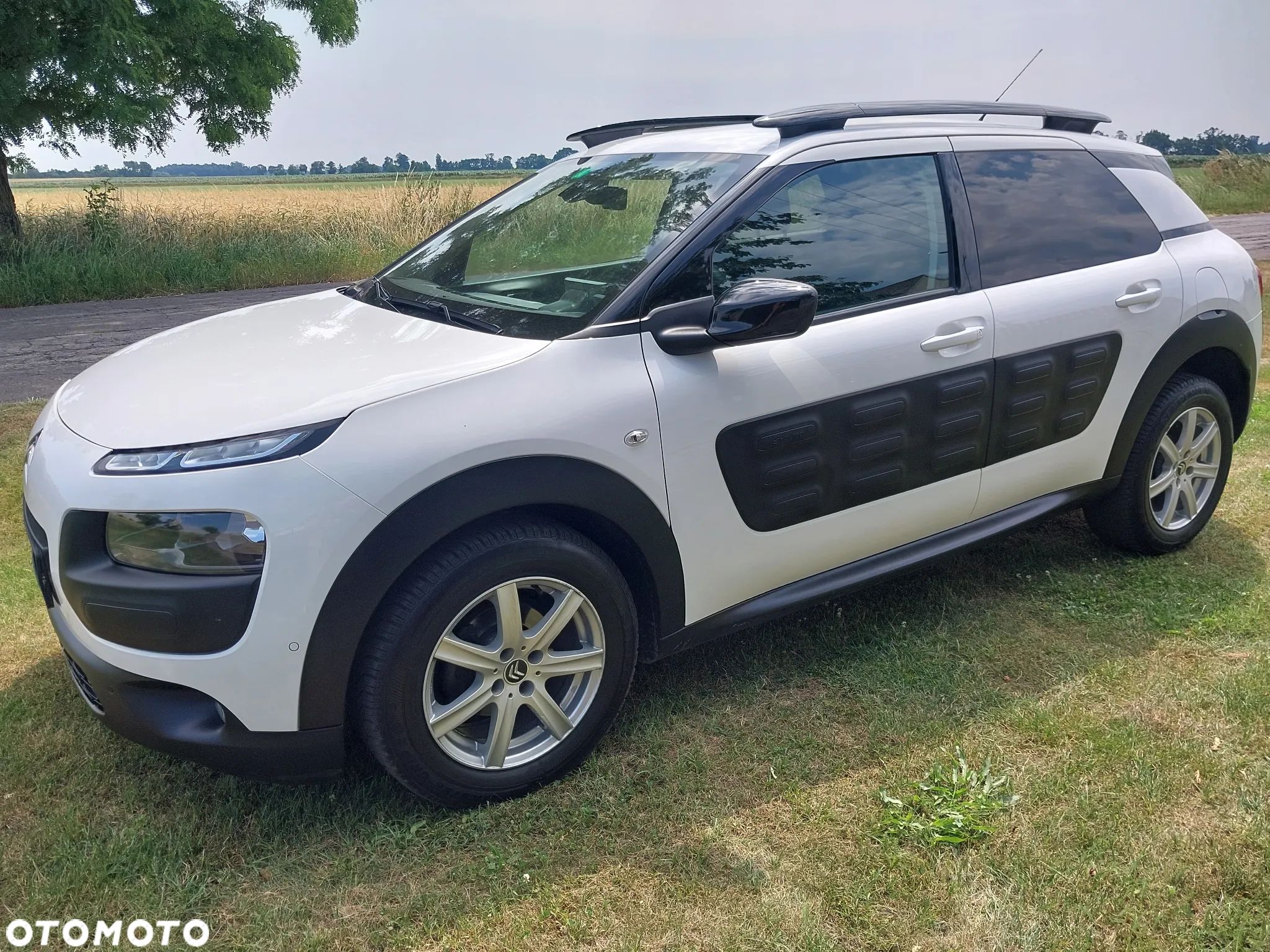 Citroën C4 Cactus BlueHDi 100 ETG6 Stop&Start Shine - 1