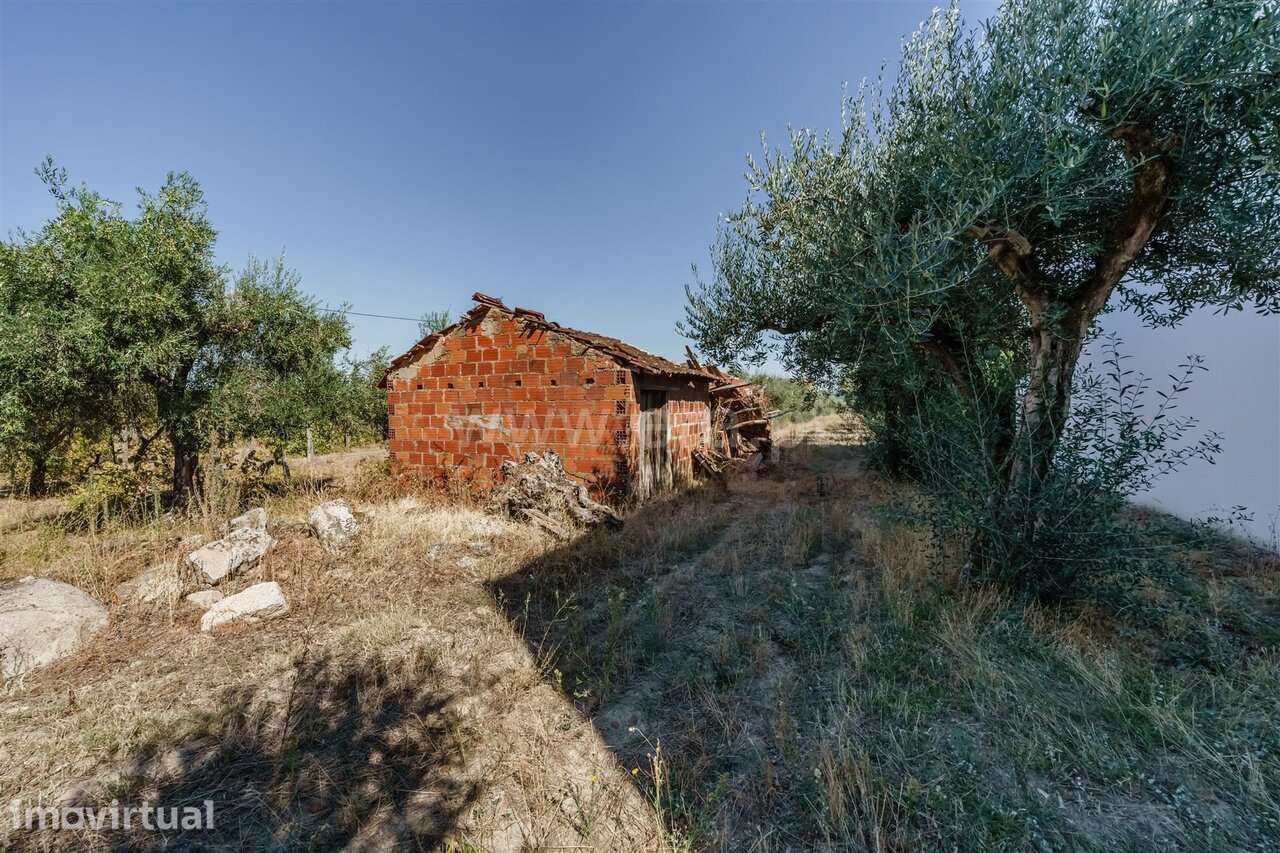 Terreno para Construção / Fundão, Valverde - Grande imagem: 5/18
