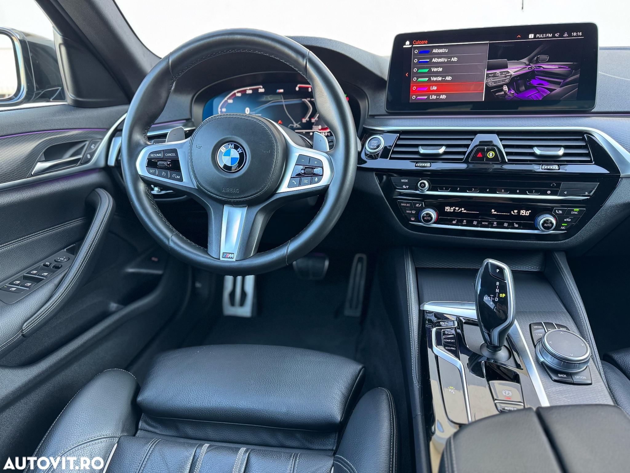BMW Seria 5 520d AT MHEV - 19