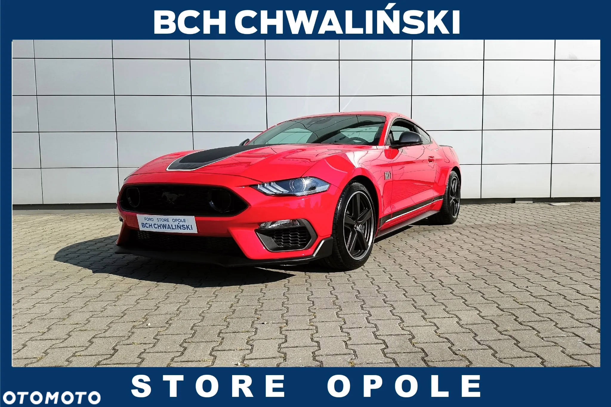 Ford Mustang 5.0 V8 Mach 1 - 17