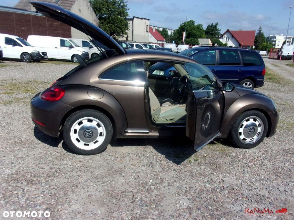 Volkswagen Beetle - 9