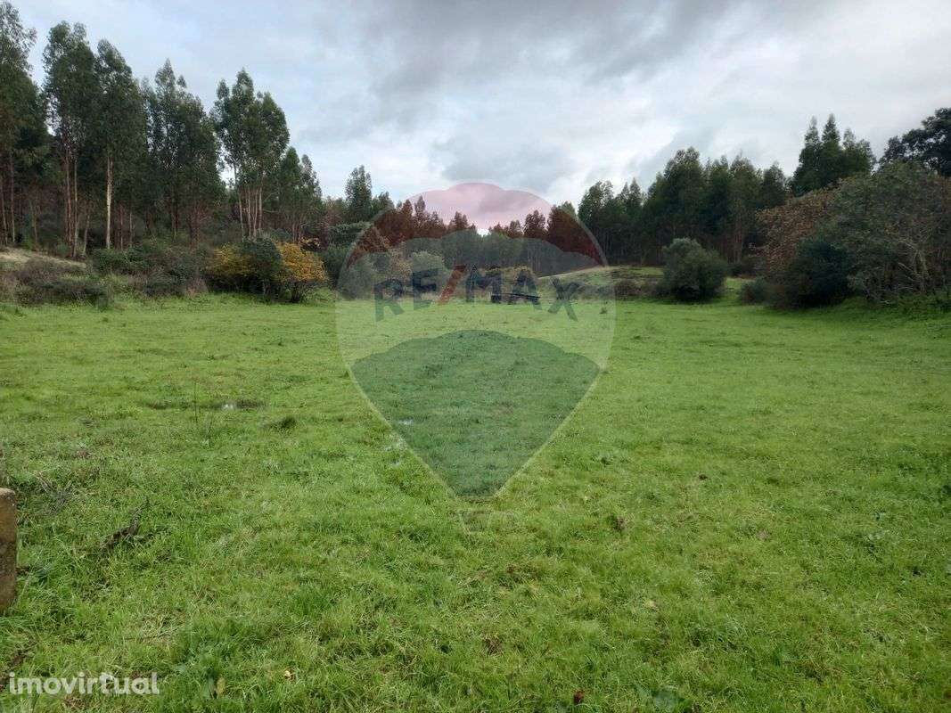 Terreno  para venda - Grande imagem: 5/5